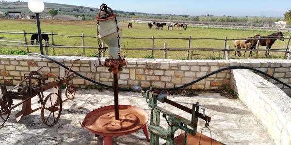 Foto di Agriturismo Regina Delle Volpi - 8/10