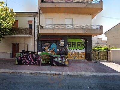 Foto 1 di Bark -beer & Bbq