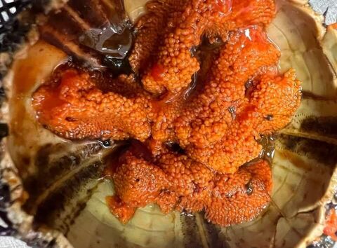 Foto di Officina Del Mare - 9/10