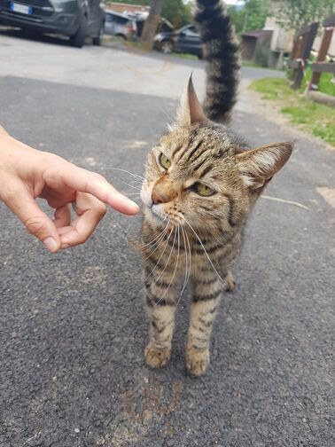 Foto di Trattoria Passaggio A Nord Ovest - 8/10