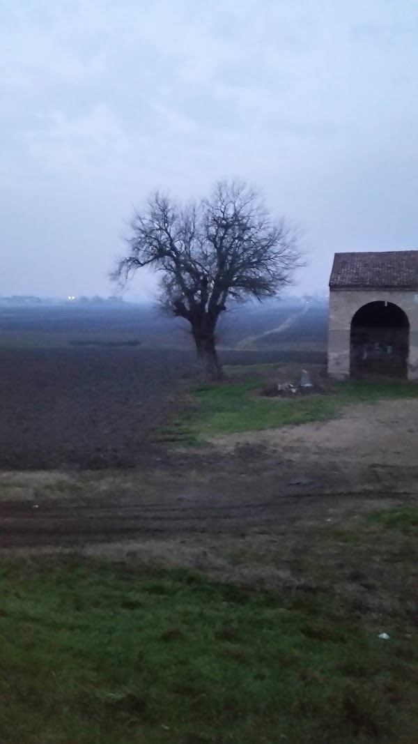 Azienda Agrituristica Dall'alpino, Cartura