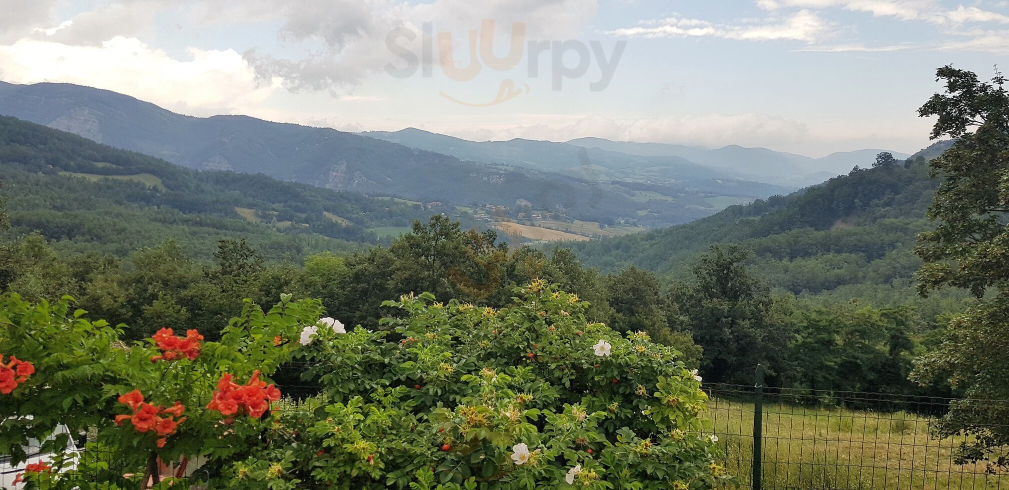 Foto di Agriturismo Antico Mulino Di Montedello - 9/10