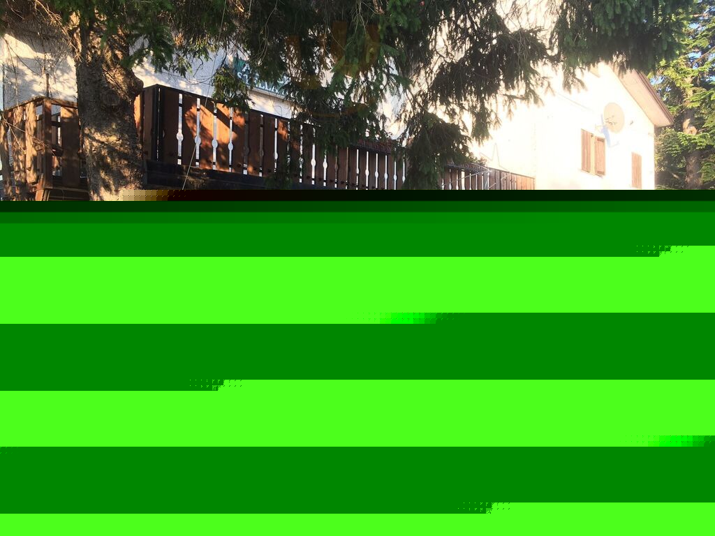 Foto di Ristorante Pizzeria Stella Alpina - 7/10