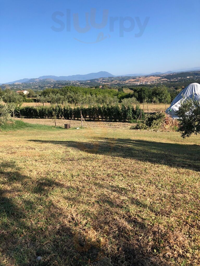 Foto di Agriturismo La Collina Degli Ulivi - 10/10