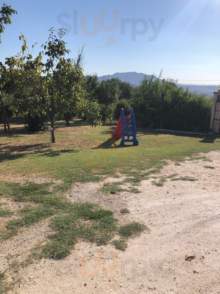Foto di Agriturismo La Collina Degli Ulivi - 7/10