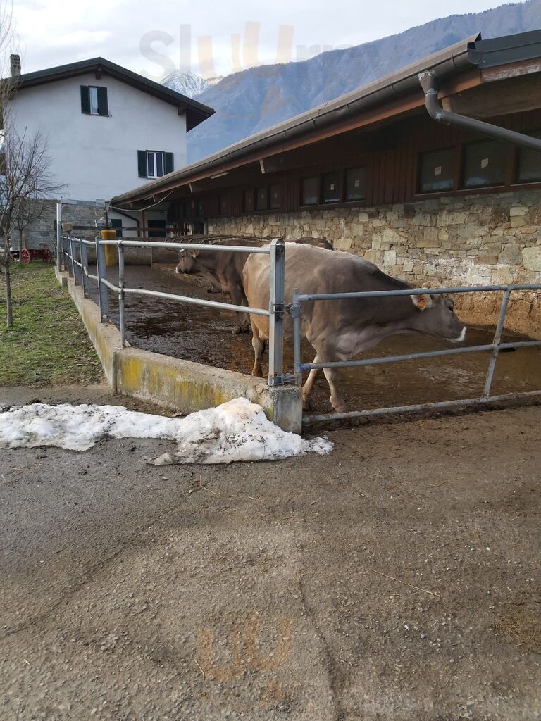 Foto di Adda Vegia - 7/10