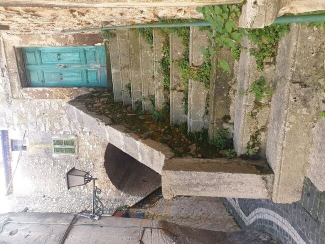 Foto di Bottega Coquinaria - 9/10