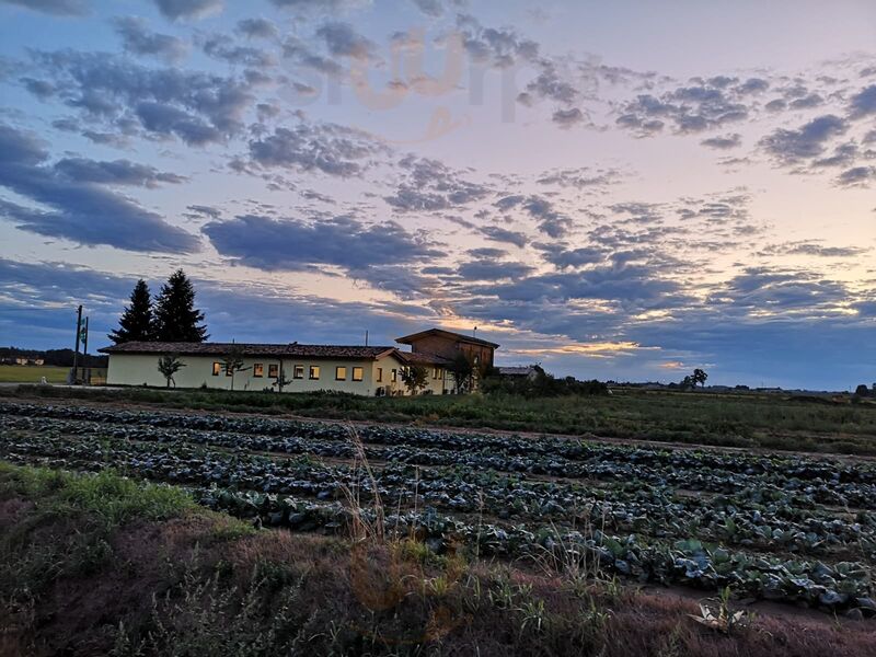 Foto di Agriturismo Il Contadino - 8/10