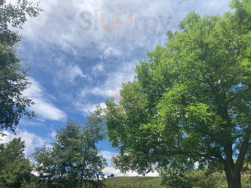 Foto di Agriturismo Delle Viole - 10/10