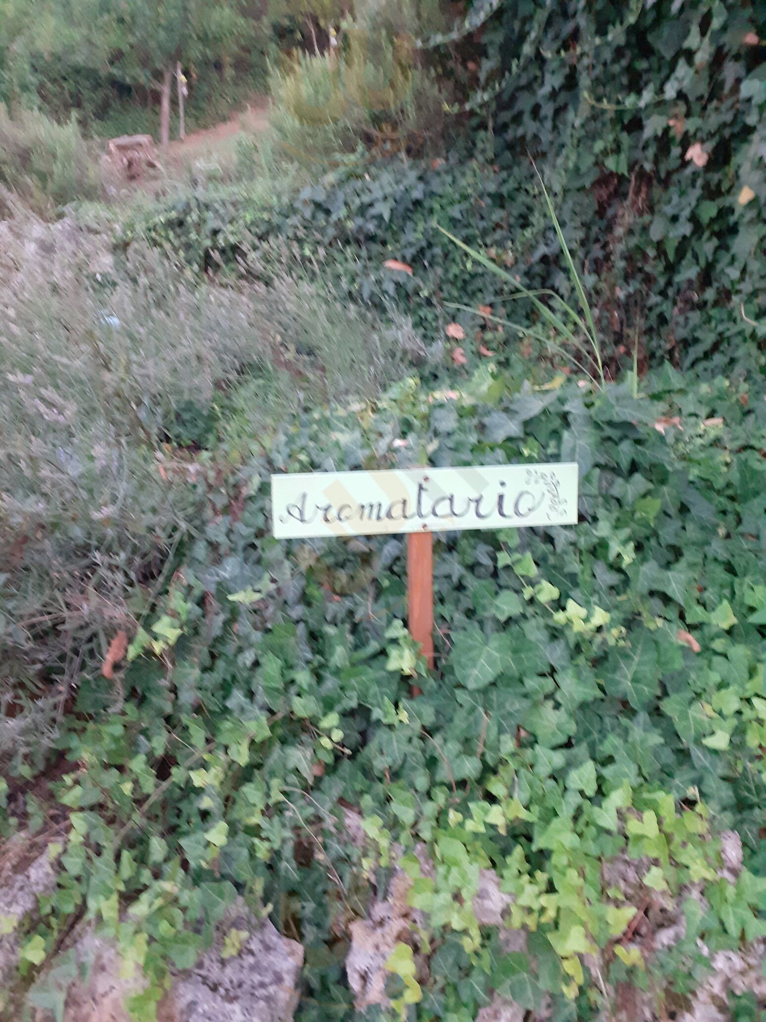 Foto di La Tomatica In Commedia - 8/10