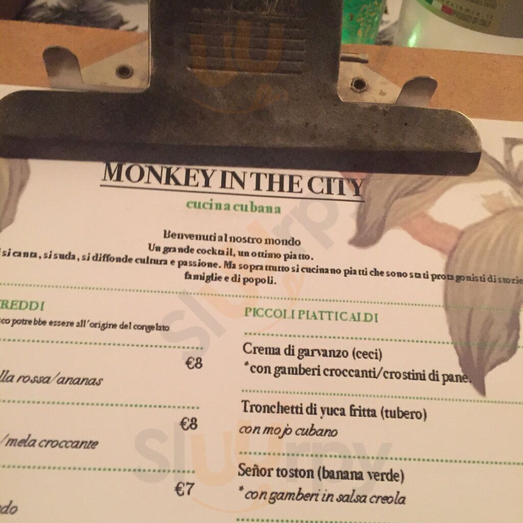 Foto di Monkey In The City - 6/10