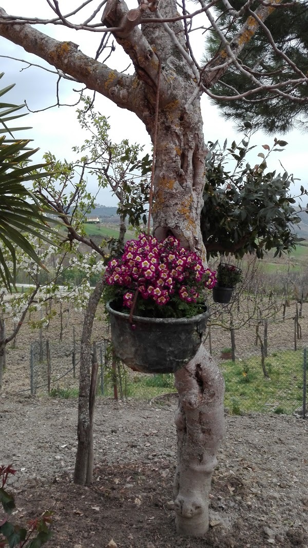 Agriturismo Radici Irpine, Rocca San Felice