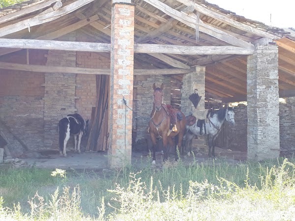 Azienda Agrituristica Il Castagno, Bettola