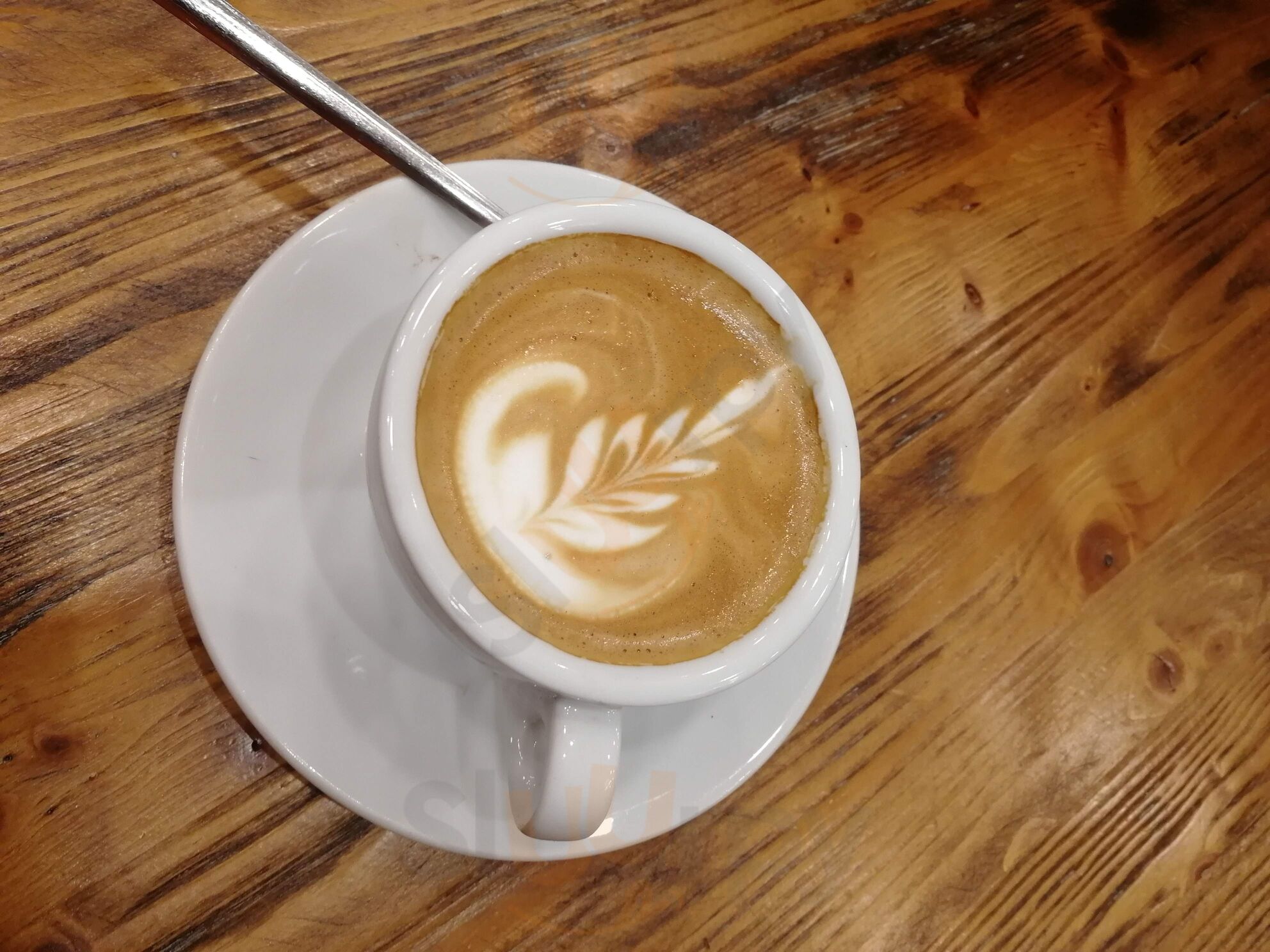 Foto 7 di Pinturicchio Caffè - Roma