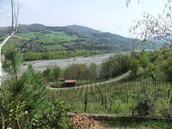 Agriturismo La Vigna, Vigolzone