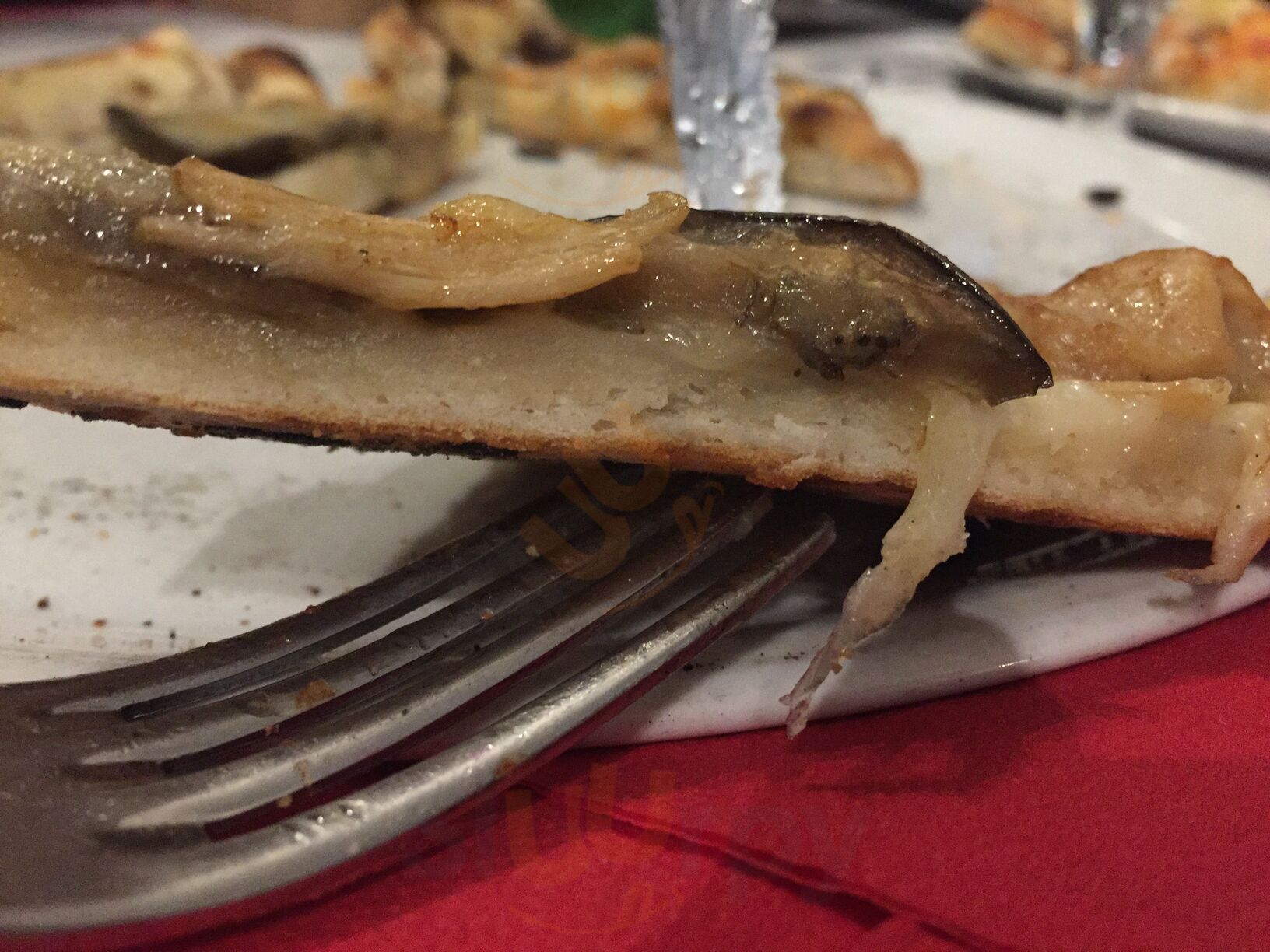 Foto di Johnny Mollica - 8/9