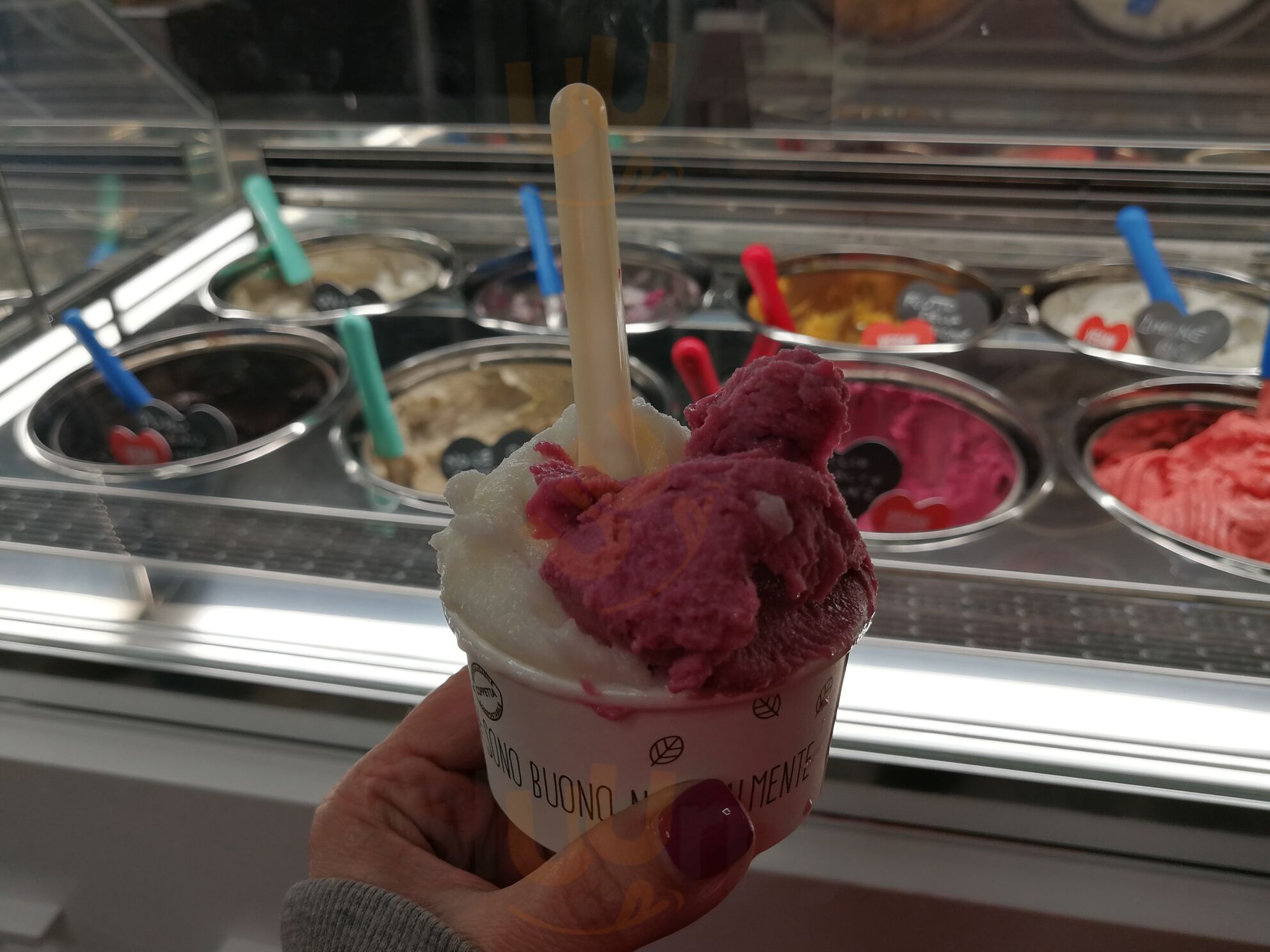 Foto 8 di Gelateria Millegusti - Cuggiono