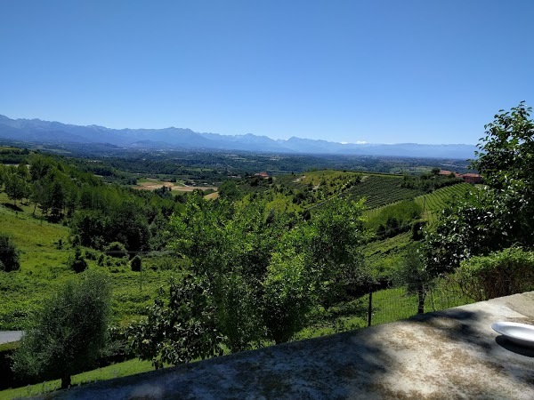 Cantine Luzi Donadei Fabiani, Clavesana