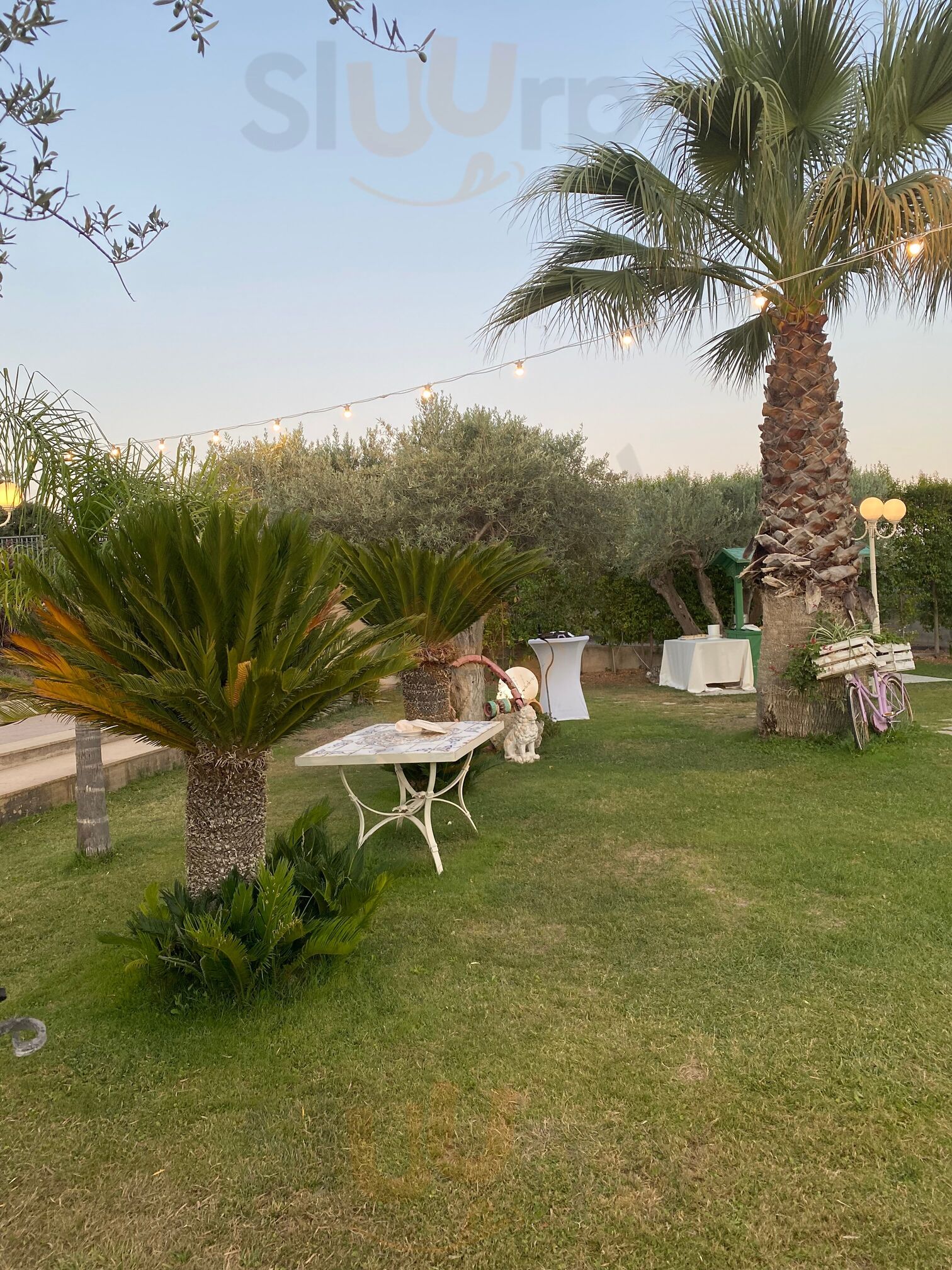 Foto di Gardenia Blu - Ricevimenti - 8/10