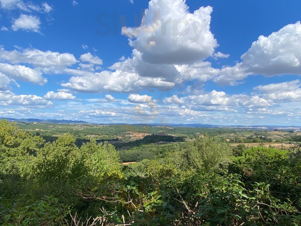 Foto di La Torre Alle Tolfe - 9/10