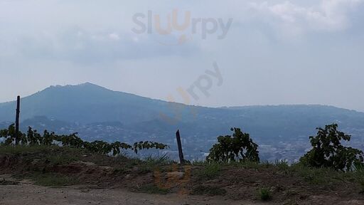 Foto di Azienda Agricola Quaranta - 7/10