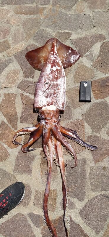 Foto di Sapore Di Stelle Bistrot - 6/10