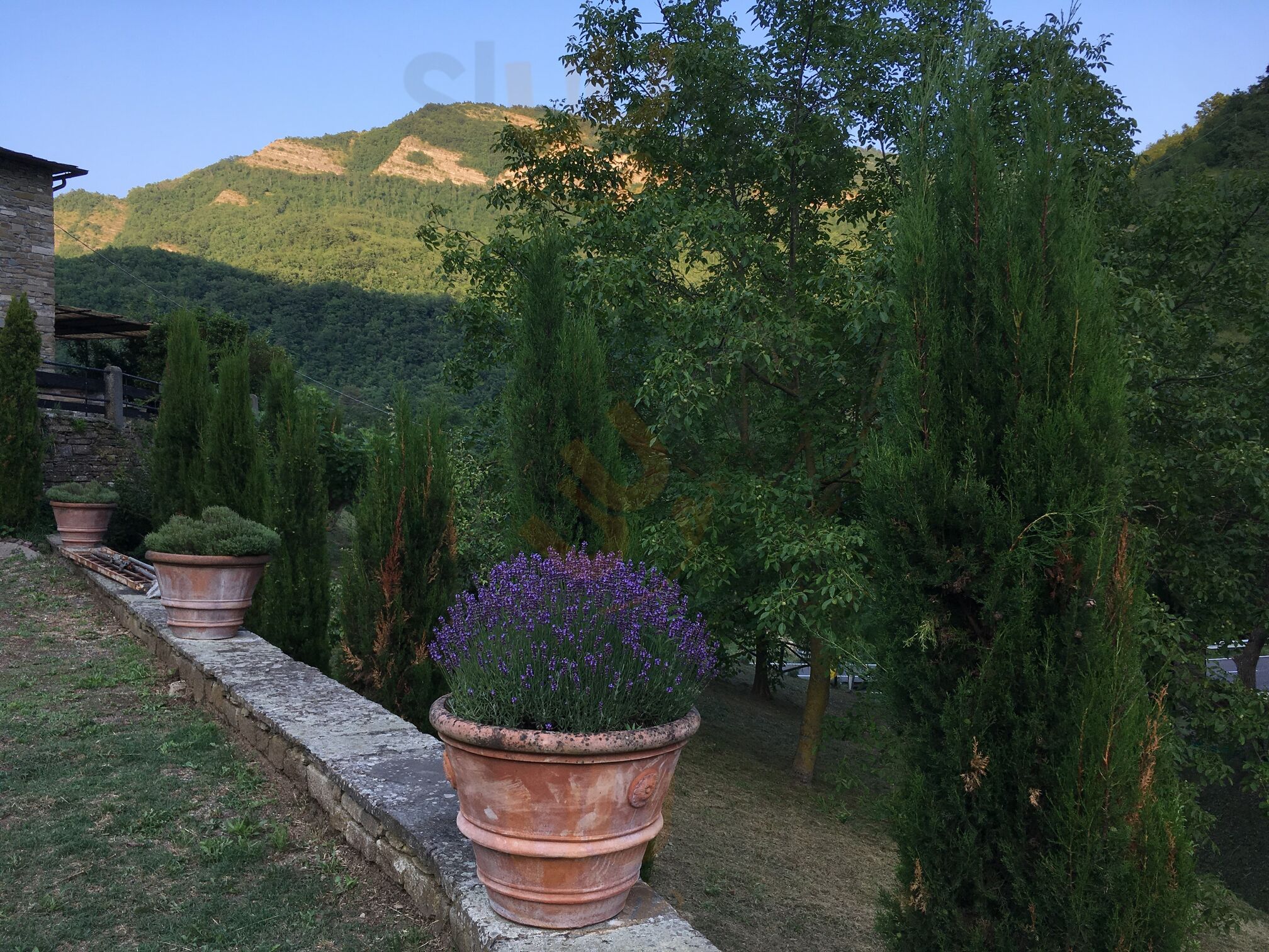 Foto di Gli Orti Di Nathan - 7/10