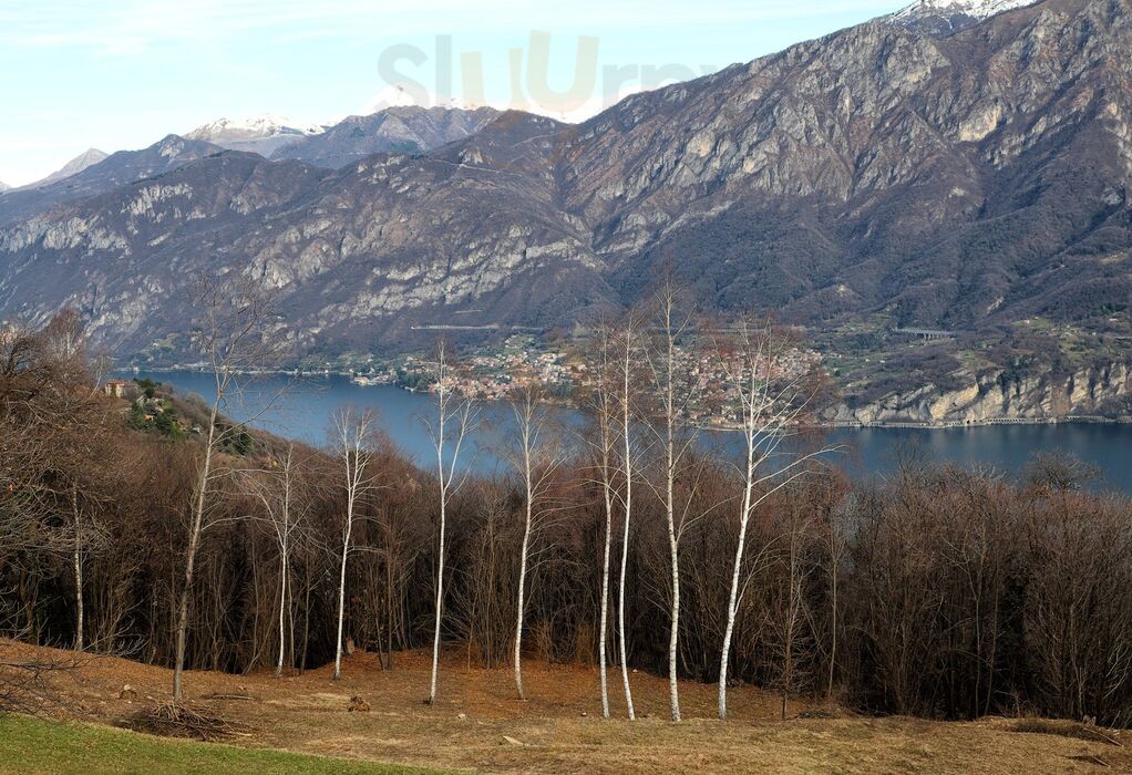 Foto di Chiosco Del Ghisallo - 10/10