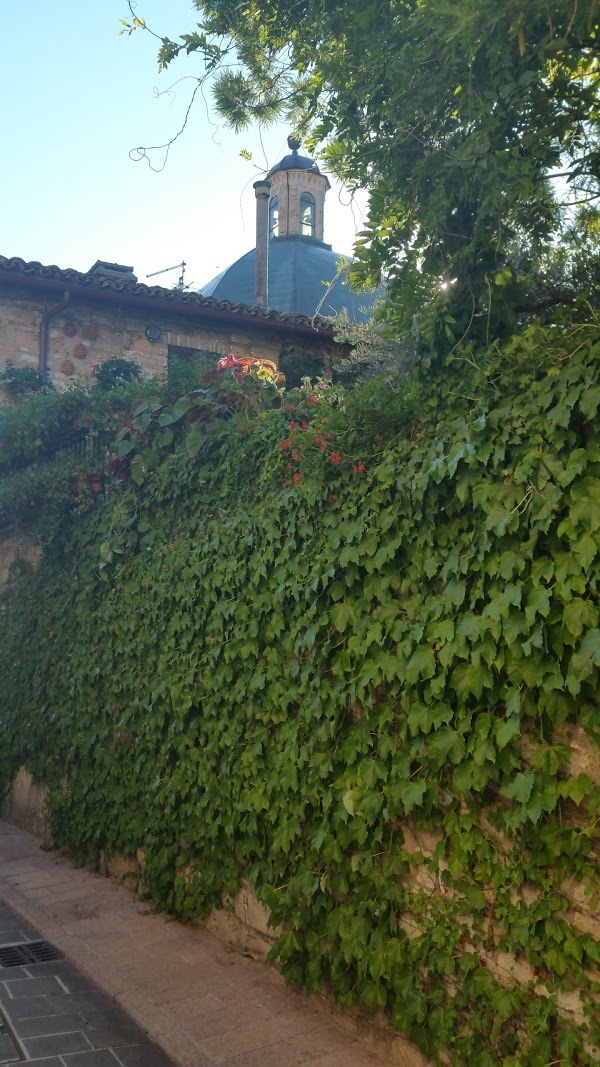 A Casa Di Bacco Wine Bar, Assisi