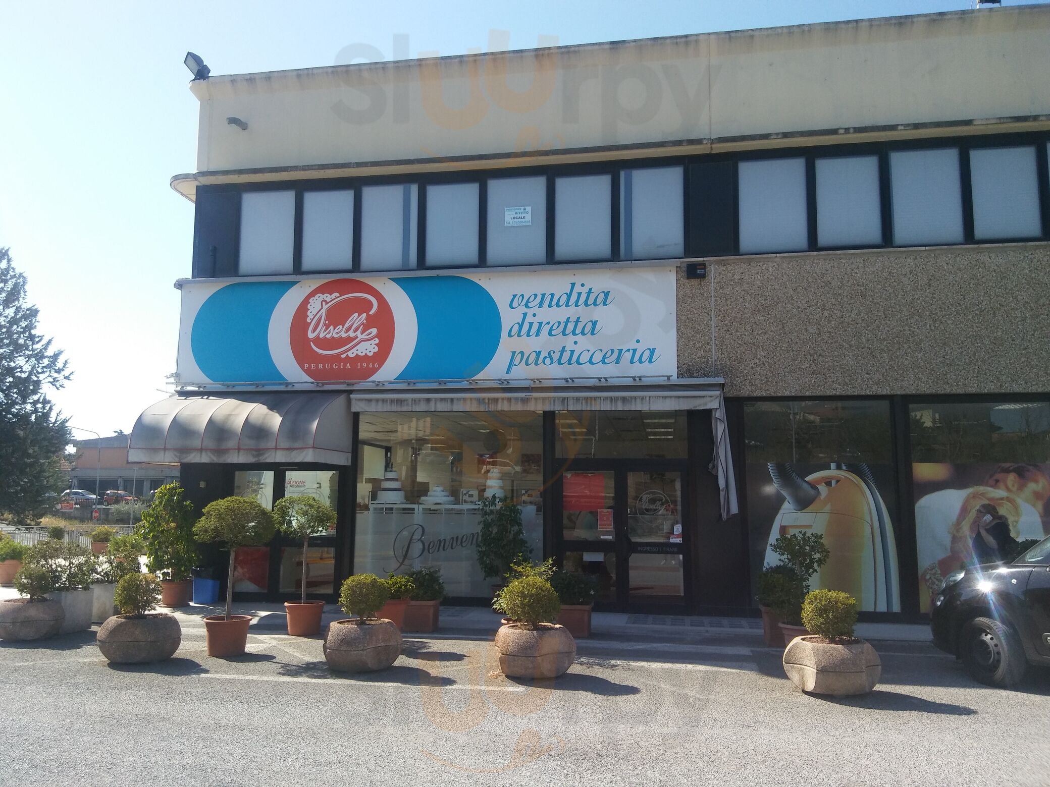 Foto di Pasticceria Piselli - 10/10