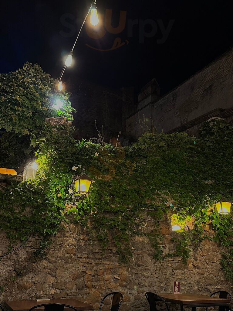 Foto di Polpetta Trastevere - 9/10