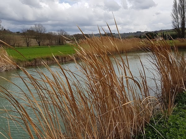 Agriturismo Fonte Fulgeri Di Palini Nello, Bevagna