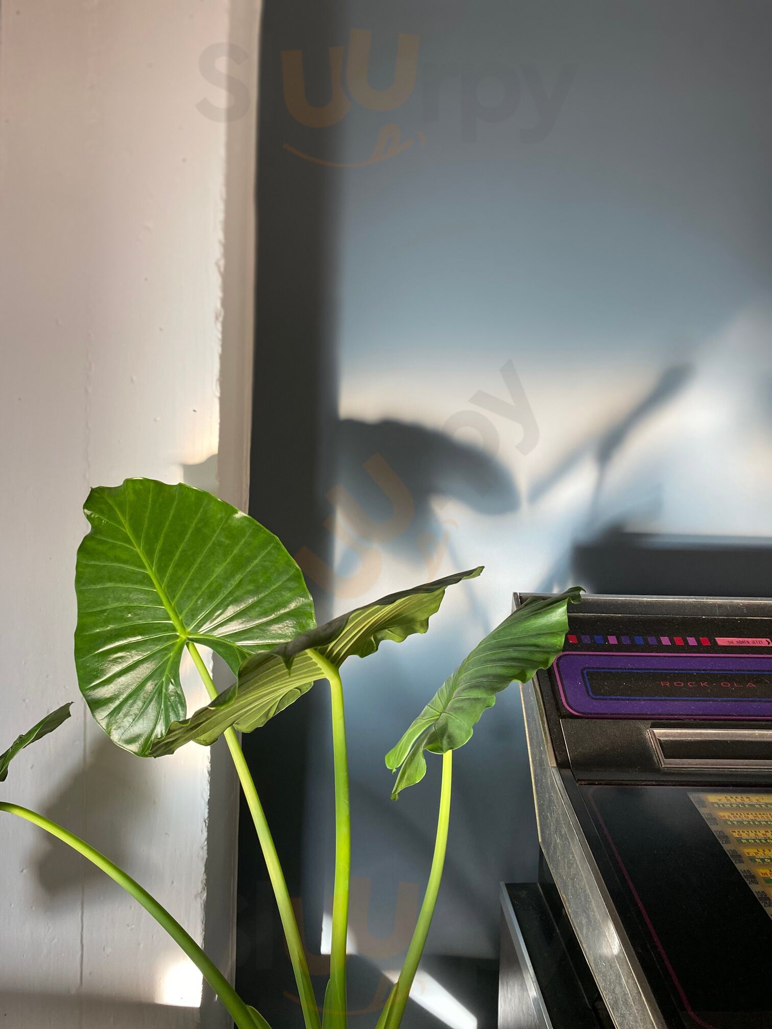 Foto di Garden - 7/10