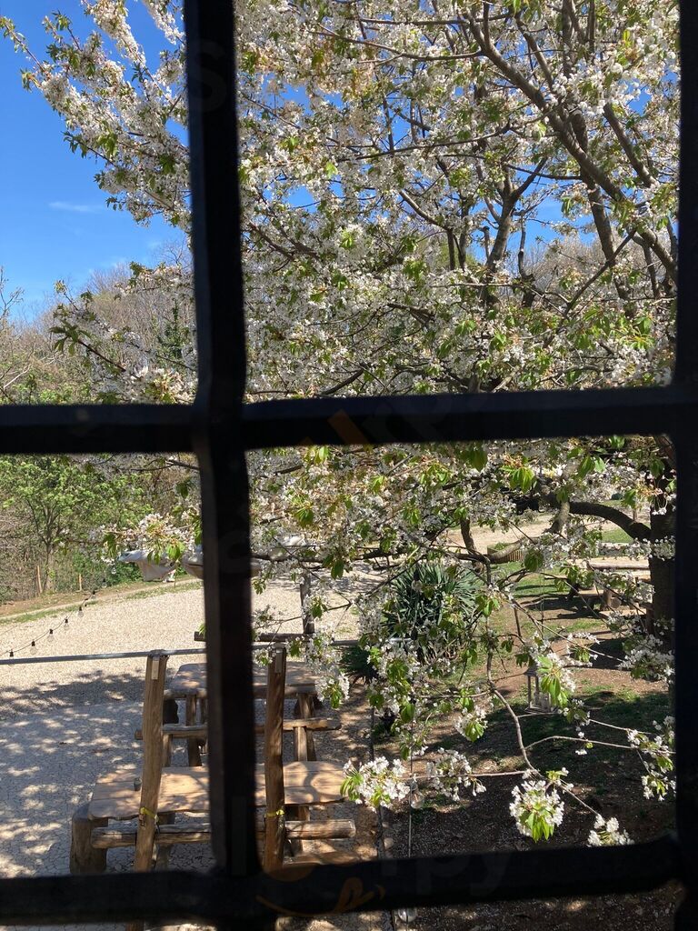 Foto di Agriturismo Ca’ Semola - 6/10