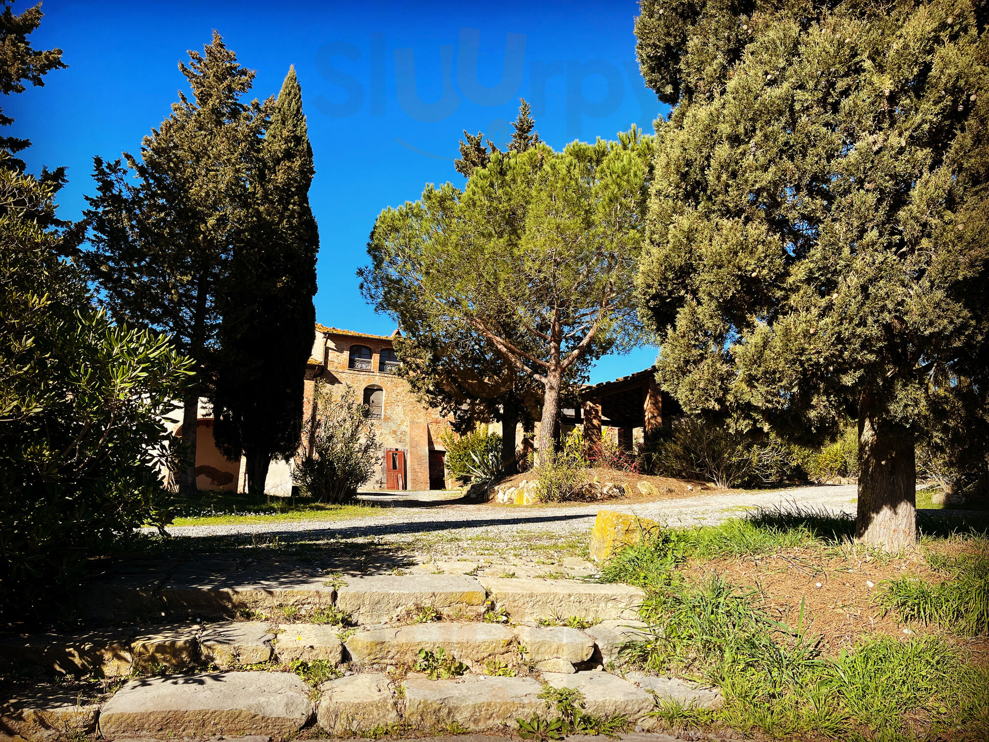 Foto di Ristorante Dell'agriturismo Cavaglione - 6/6