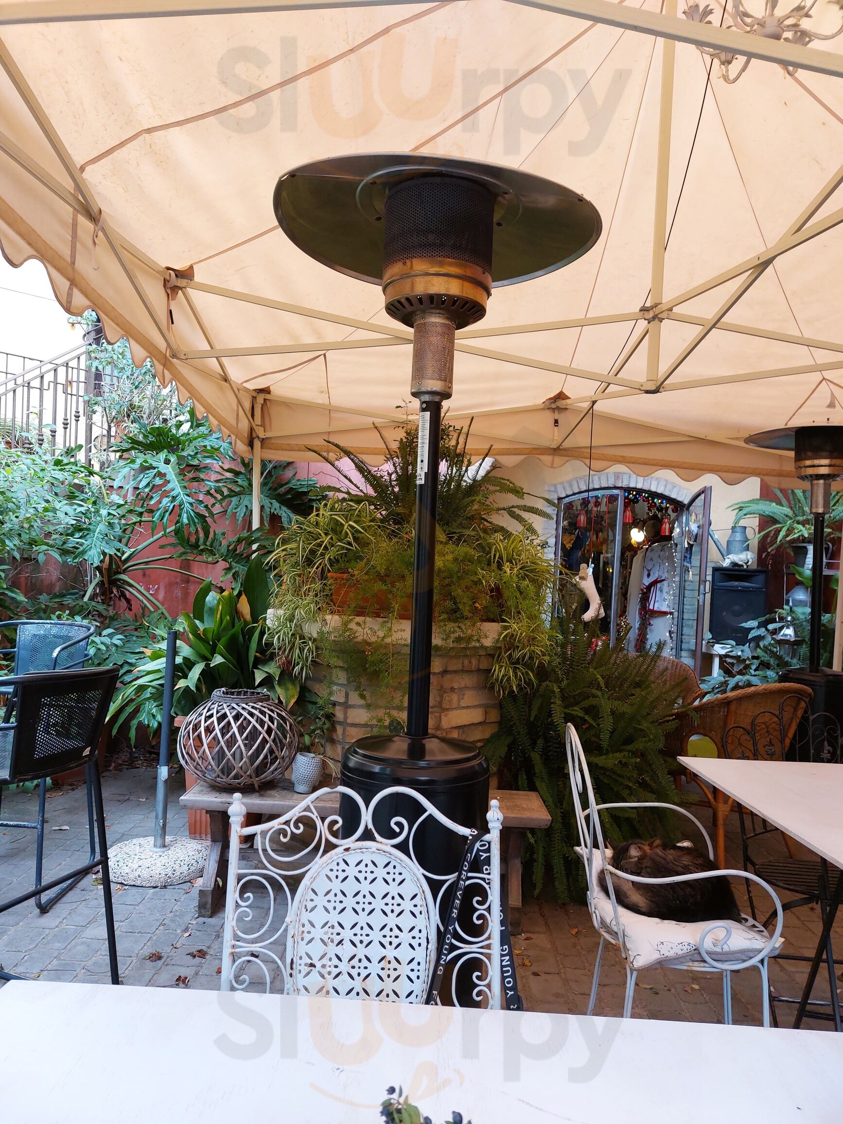 Foto 6 di The Old Tipsy - Quartu Sant'Elena 