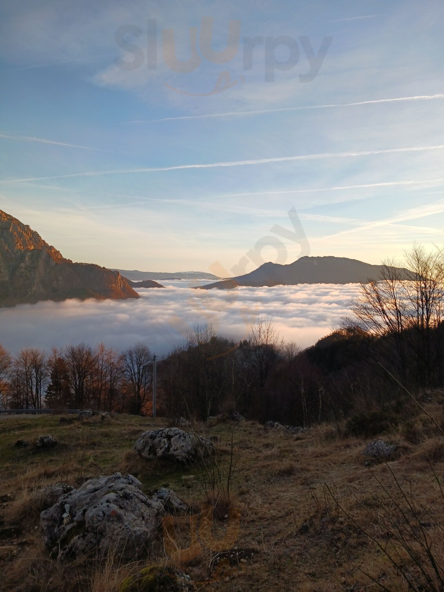 Foto di Malga Cornetto - 7/10