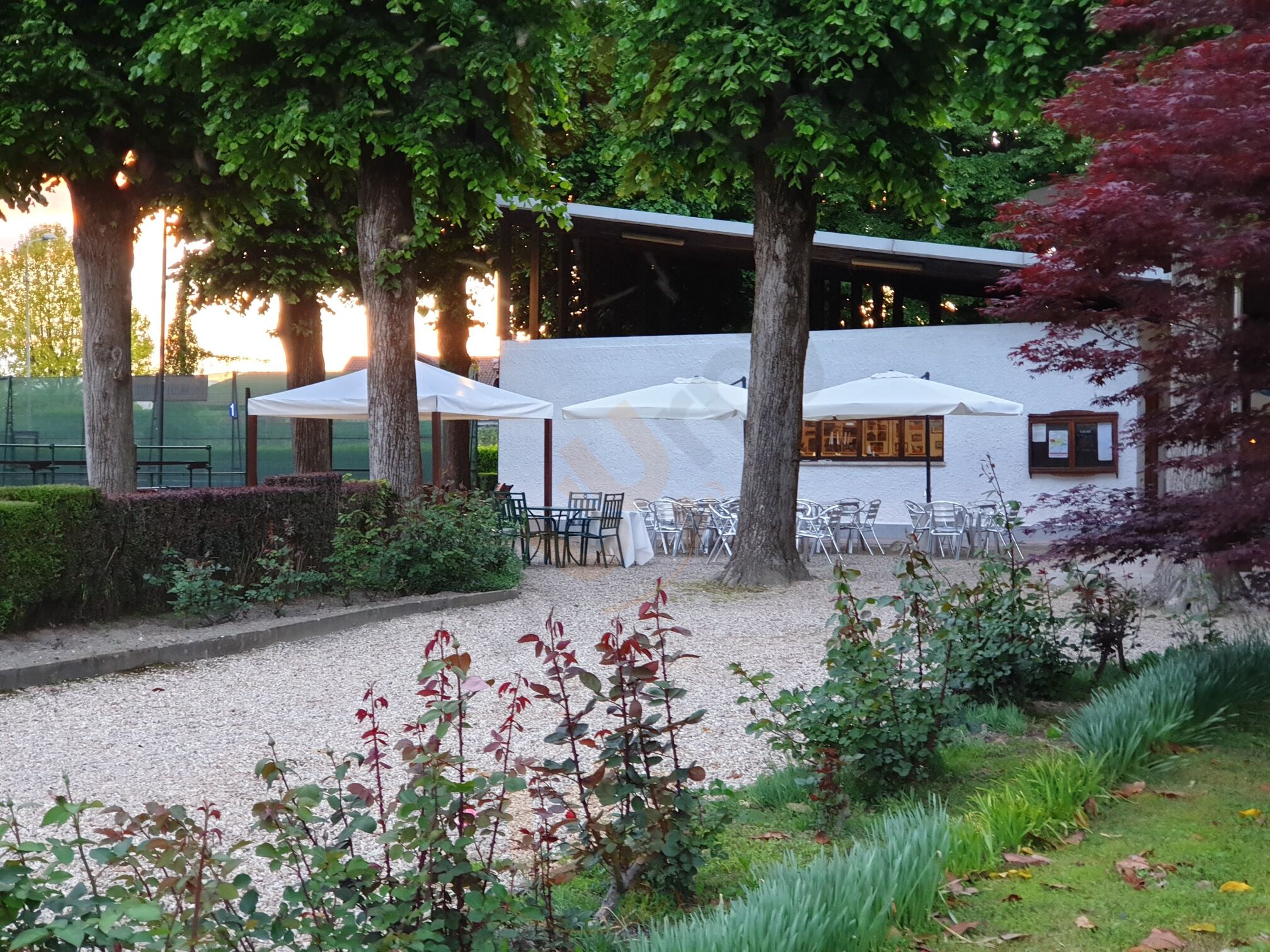 Foto 2
