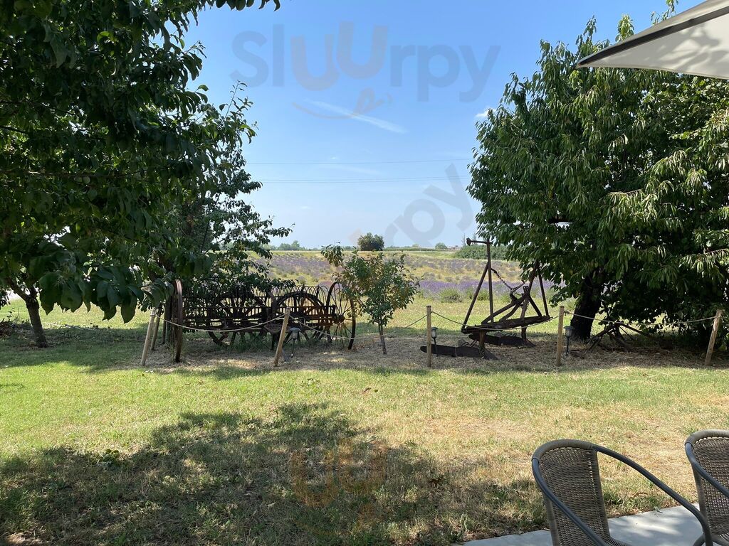 Foto 4 di Agriturismo Il  Capitolo