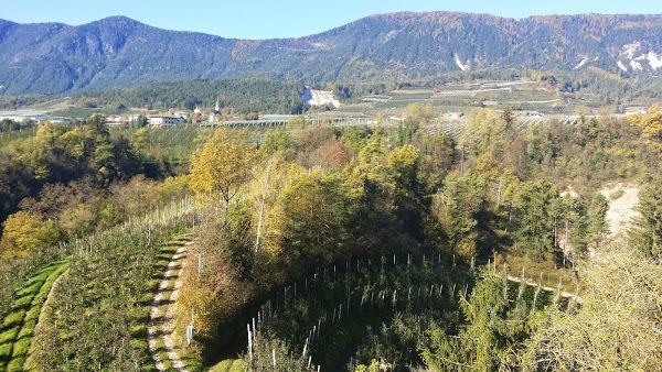 Agritur Castel Vasio, Trento