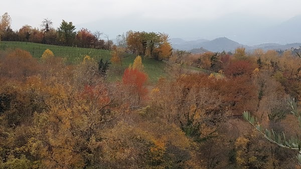 Col Dei Gelsi, Monfumo