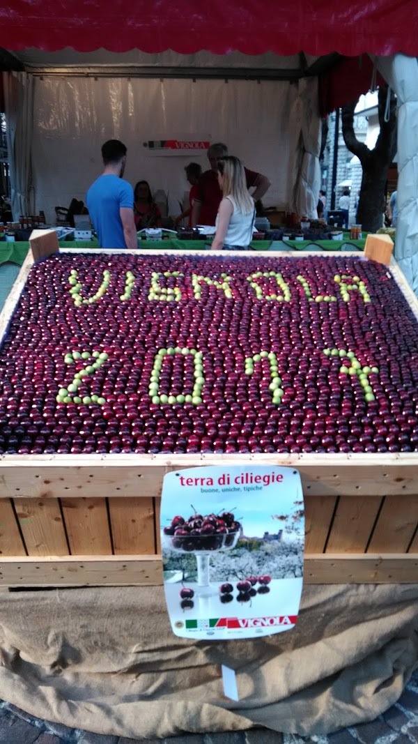 Caffè Torino Vignola, Trinità d'Agultu e Vignola