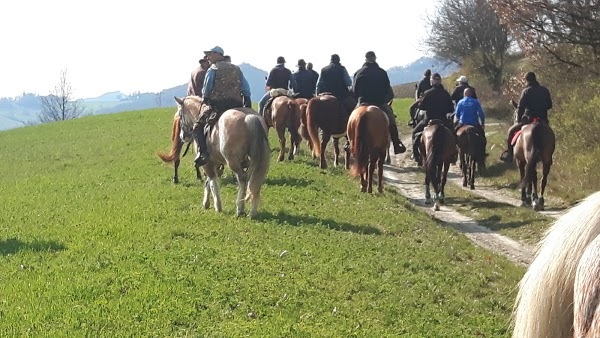 Agriturismo Colle Rio Stirpi, Salsomaggiore Terme