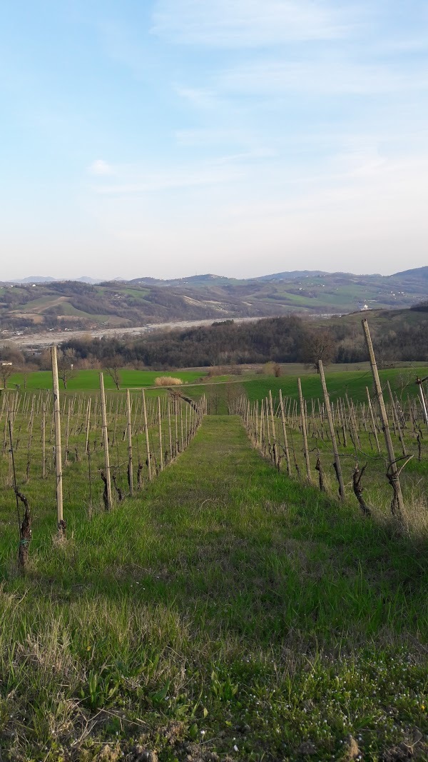 Azienda Agricola Cardinali, Langhirano