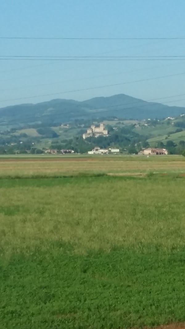 Azienda Agricola Ciato, Parma