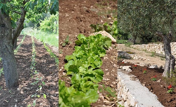 Casale U Varigliu - Agriturismo, Gioia Sannitica