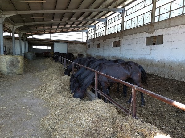 Agriturismo Madonna Dell'assunta, Altamura