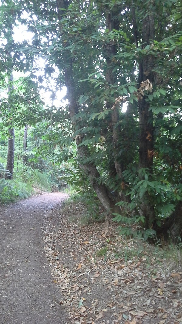 Da Freghino, San Giuliano Terme