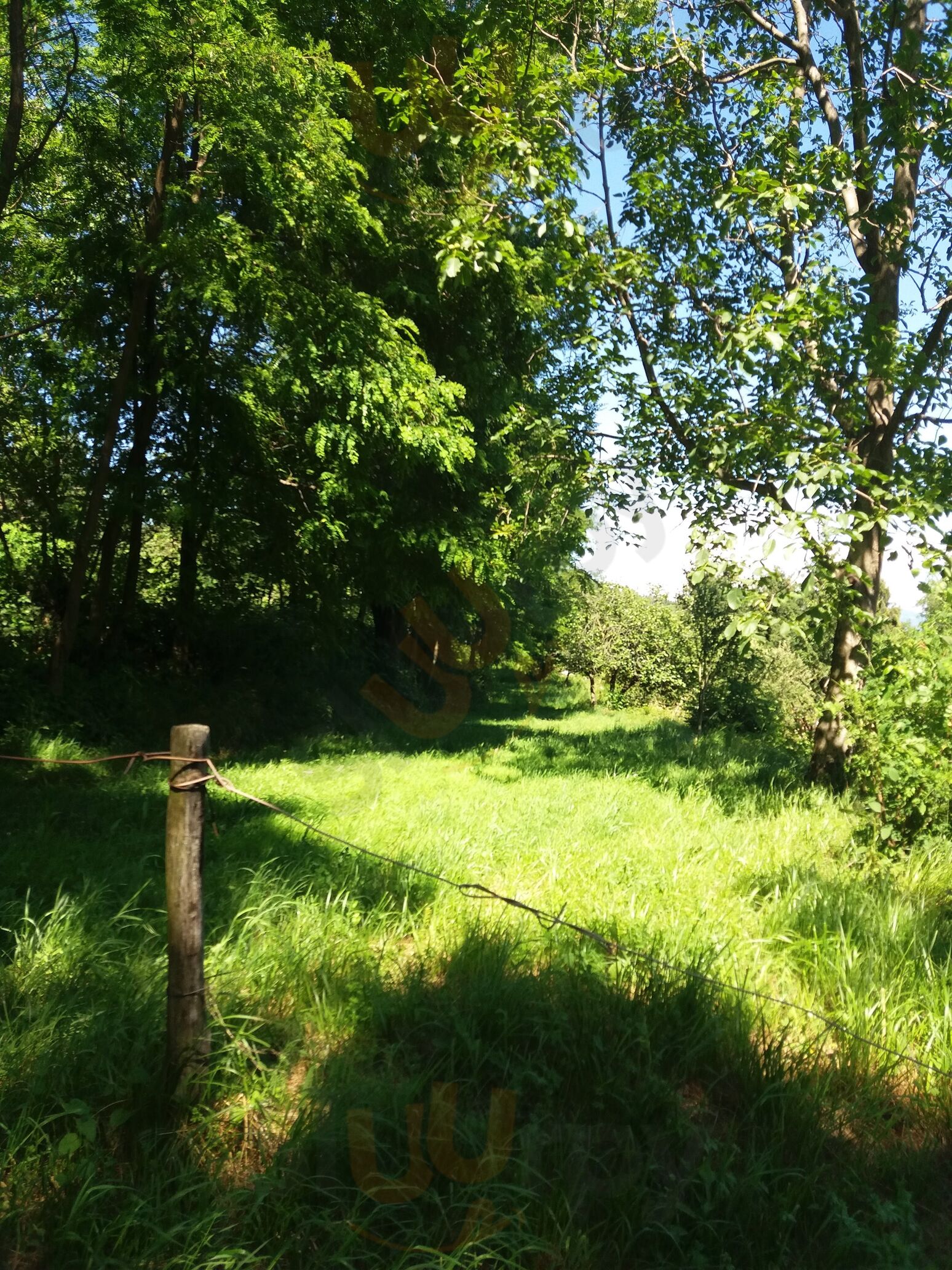 Azienda Agricola I Mirtilli