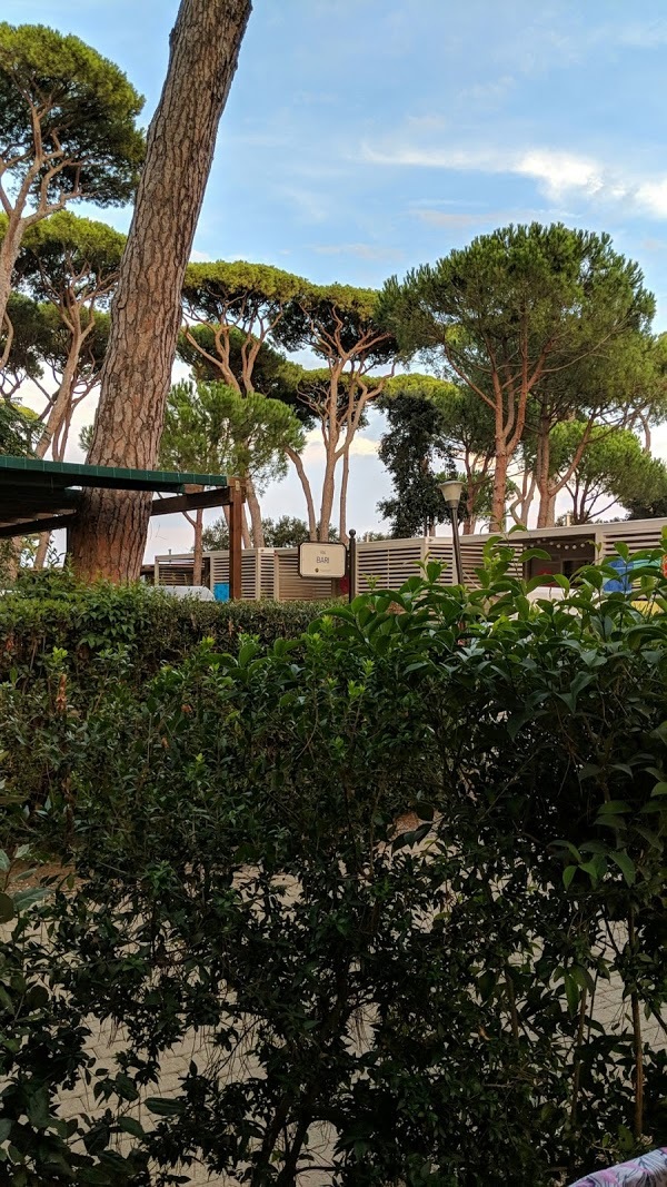 Da Alfredo Restaurant, San Vincenzo